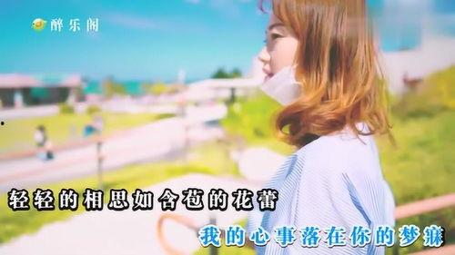 娱乐吃瓜小阿酱小说,揭秘娱乐圈背后的秘密与八卦